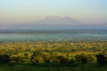 View of Mount Kilimanjaro from Lualenyi, Tsavo Conservation Area, Kenya, East Africa, Africa