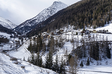 Gran Paradiso National Park, Aosta Valley, Italy, Europe