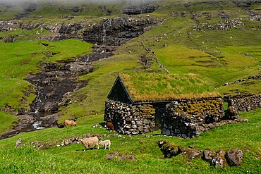 Building with turf roof, Saksun, Streymoy Island, Faroe Islands, Denmark, Europe