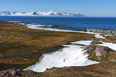 Gasbergkilen, Spitsbergen, Svalbard Islands, Norway.