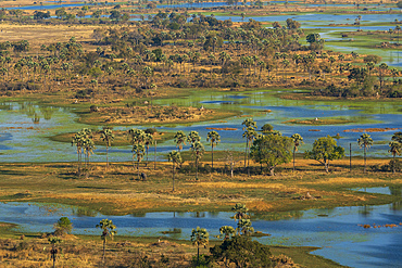 Aerial view of the Okavango Delta, Botswana.