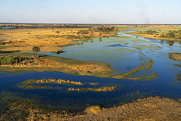 Aerial view of the Okavango Delta, Botswana.