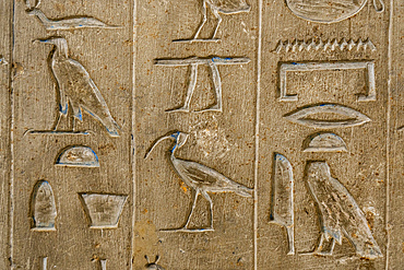 Hieroglyphics in the interior of the pyramid of Unas, complex of Saqqara, Egypt.