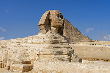 The Great Sphinx at the Great Pyramid complex, Giza, Egypt.