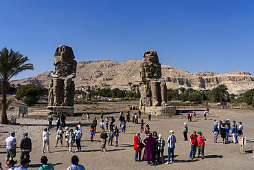 Colossi of Memnon, UNESCO World Heritage Site, Thebes, Luxor, Egypt, North Africa, Africa