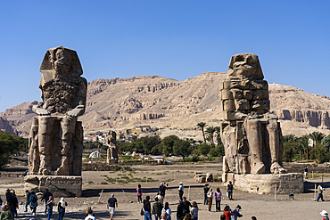 Colossi of Memnon, UNESCO World Heritage Site, Thebes, Luxor, Egypt, North Africa, Africa