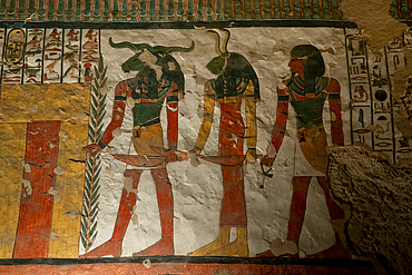 Tomb of Nefertari, Valley of the Queens, UNESCO World Heritage Site, Thebes, Egypt, North Africa, Africa