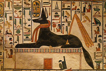 Anubis, Tomb of Nefertari, Valley of the Queens, UNESCO World Heritage Site, Thebes, Egypt, North Africa, Africa