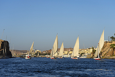 Feluccas on the Nile river, Aswan, Egypt.