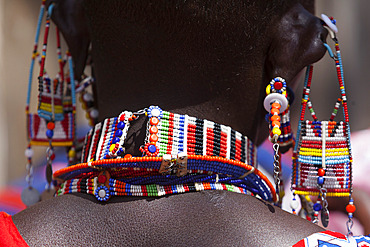 Maasai beadwork at the Predator Compensation Fund Pay Day, Mbirikani Group Ranch, Amboseli-Tsavo eco-system, Kenya, East Africa, Africa