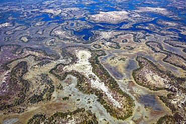 Aerial view of the Okavango delta, UNESCO World Heritage Site, Botswana, Southern Africa,