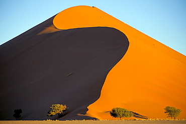 Sand dune, Sossusvlei dune field, Namib-Naukluft Park, Namib Desert, Namibia, Africa