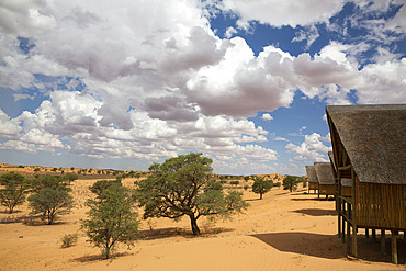 Ta Shebube Polentswa lodge, Kgalagadi Transfrontier Park, Botswana, Africa