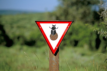 Dung beetle road sign to discourage dung beetle roadkills, Addo National Park, South Africa, Africa