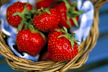 Strawberries in a basket