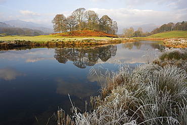 River Brathay in winter, near Elterwater, Lake District, Cumbria, England, United Kingdom, Europe