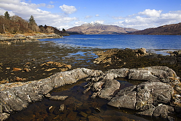 Loch Sunart, looking east, Argyll, Scotland, United Kingdom, Europe