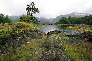 Moss covered rocks at water's edge, Prince William Sound, Alaska, United States of America, North America