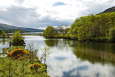 Loch Fyne, Argyll and Bute, Scotland, United Kingdom, Europe