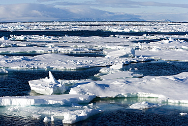 Pack ice, Spitsbergen, Svalbard, Norway, Scandinavia, Europe