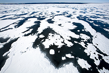 Pack ice, Spitsbergen, Svalbard, Norway, Scandinavia, Europe