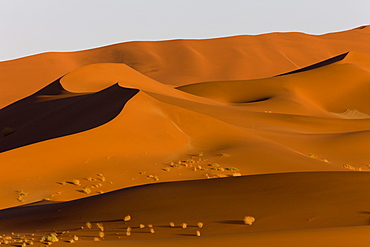 Sand dunes, Sossusvlei, Namib Naukluft Park, Namib Desert, Namibia, Africa