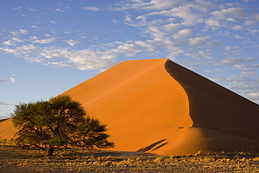 Sand dunes, Sossusvlei, Namib Desert, Namib Naukluft Park, Namibia, Africa