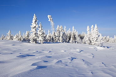 Winter Scenery, Churchill, Manitoba, Canada