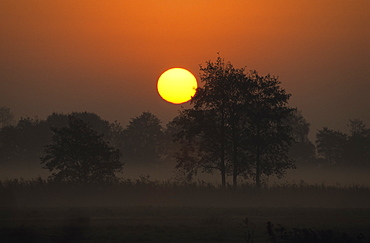 Sunrise, Fischland, Mecklenburg-Vorpommern, Germany