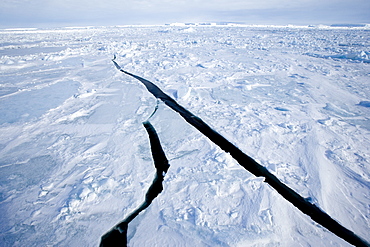 Pack ice, Weddell Sea, Antarctic Peninsula, Antarctica, Polar Regions