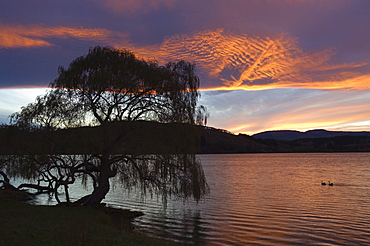 Sunset on Lake Tutira, Hawkes Bay, North Island, New Zealand, Pacific