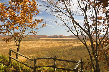 Wetlands, Kushiro Shitsugen National Park, Hokkaido, Japan, Asia