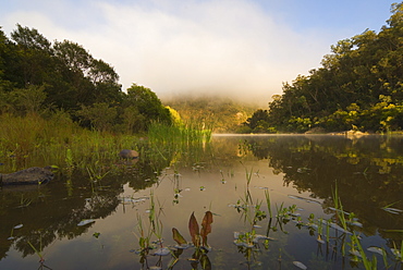 Snowy River, Snowy River National Park, Victoria, Australia, Pacific