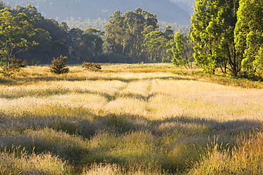 Geehi, Kosciuszko National Park, New South Wales, Australia, Pacific