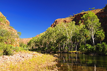 Moonshine Gorge and Pentecost River, Kimberley, Western Australia, Australia, Pacific