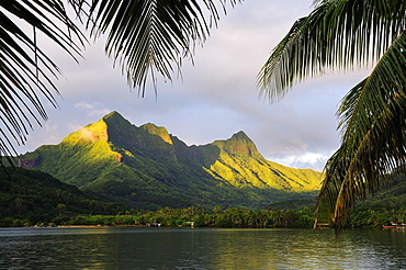 Faaroa Bay and Mount Oropiro, Raiatea, French Polynesia, South Pacific Ocean, Pacific