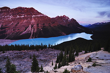 Peyto Lake, Banff National Park, UNESCO World Heritage Site, Rocky Mountains, Alberta, Canada, North America