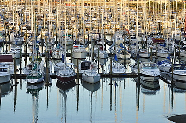 Westhaven, Waitemata Harbour, Auckland, North Island, New Zealand, Pacific