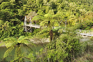 Tauranga historic bridge, Waioeka Gorge Scenic Reserve, Bay of Plenty, North Island, New Zealand, Pacific