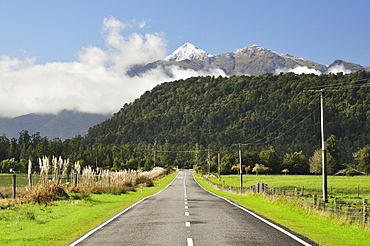 Haast Highway, near Jacobs River, West Coast, South Island, New Zealand, Pacific