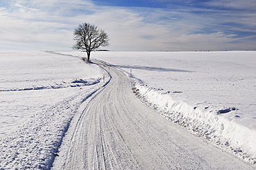 Winter landscape, near Villingen-Schwenningen, Black Forest-Baar (Schwarzwald-Baar) district, Baden-Wurttemberg, Germany, Europe