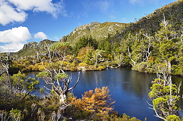 Twisted Lakes, Cradle Mountain-Lake St. Clair National Park, UNESCO World Heritage Site, Tasmania, Australia, Pacific