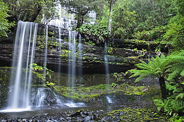 Russell Falls, Mount Field National Park, UNESCO World Heritage Site, Tasmania, Australia, Pacific