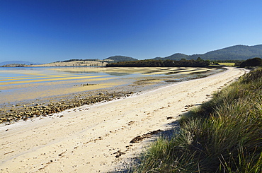 Norfolk Bay, Forestier Peninsula, Tasmania, Australia, Pacific