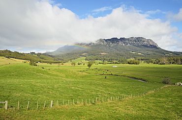 Mount Roland seen from Paradise, Tasmania, Australia, Pacific