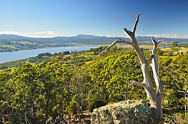 River Tamar, Tamar Valley, Tasmania, Australia, Pacific