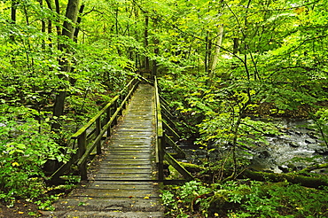 Wooden bridge, Holzbachtal, Westerwald, Rhineland-Palatinate, Germany, Europe 