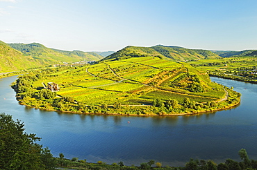 View of Calmont vineyards, Stuben Augustinian Convent, Bremm village and Moselle River (Mosel), Rhineland-Palatinate, Germany, Europe 