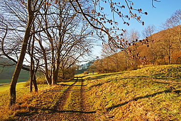 Country road, Swabian Alb, Baden-Wurttemberg, Germany, Europe