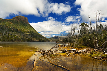 Lake Myrtle and Mt. Rogoona, Walls of Jerusalem National Park, Tasmania, Australia, Pacific